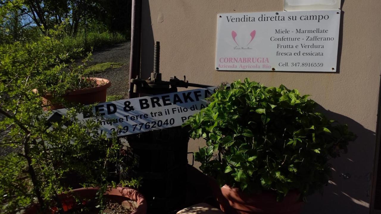 Bed and Breakfast Cinque Terre Tra Il Filo Di Arianna Riccò del Golfo di Spezia Esterno foto